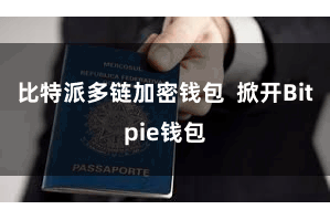 比特派多链加密钱包 掀开Bitpie钱包