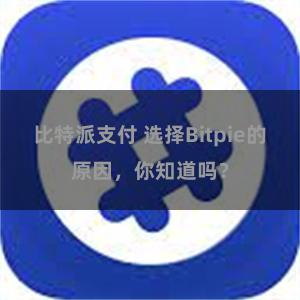 比特派支付 选择Bitpie的原因，你知道吗？