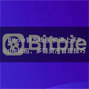 Bitpie官方钱包 快速上手Bitpie钱包，多链资产管理技巧