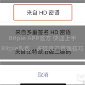 Bitpie APP官方 快速上手Bitpie钱包，多链资产管理技巧