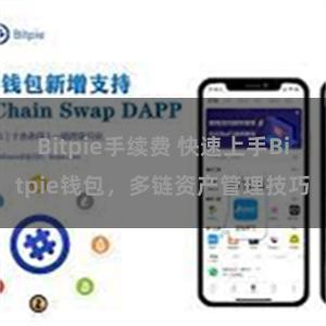 Bitpie手续费 快速上手Bitpie钱包，多链资产管理技巧