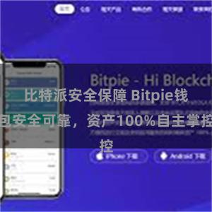 比特派安全保障 Bitpie钱包安全可靠，资产100%自主掌控