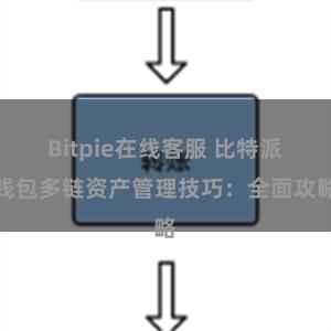 Bitpie在线客服 比特派钱包多链资产管理技巧：全面攻略