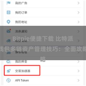 Bitpie便捷下载 比特派钱包多链资产管理技巧：全面攻略