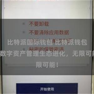 比特派国际钱包 比特派钱包：数字资产管理生态进化，无限可能！