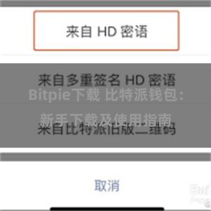 Bitpie下载 比特派钱包：新手下载及使用指南