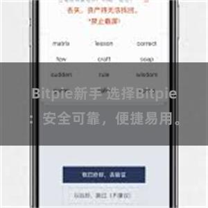 Bitpie新手 选择Bitpie：安全可靠，便捷易用。