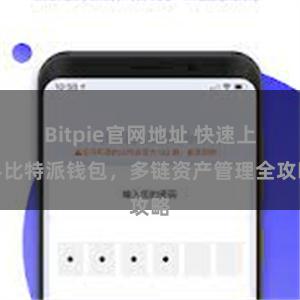 Bitpie官网地址 快速上手比特派钱包，多链资产管理全攻略