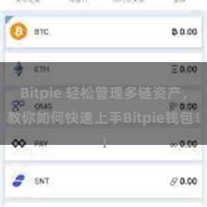 Bitpie 轻松管理多链资产，教你如何快速上手Bitpie钱包！