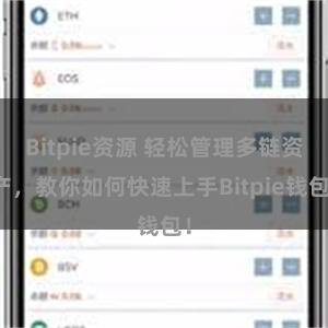 Bitpie资源 轻松管理多链资产，教你如何快速上手Bitpie钱包！