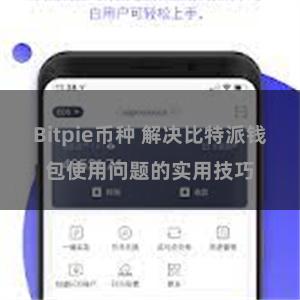 Bitpie币种 解决比特派钱包使用问题的实用技巧