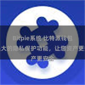 Bitpie系统 比特派钱包：强大的隐私保护功能，让您资产更安全