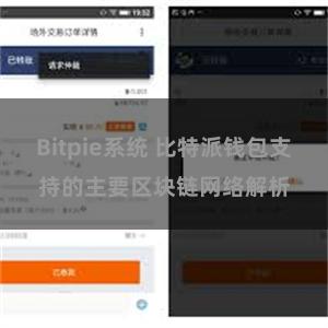 Bitpie系统 比特派钱包支持的主要区块链网络解析