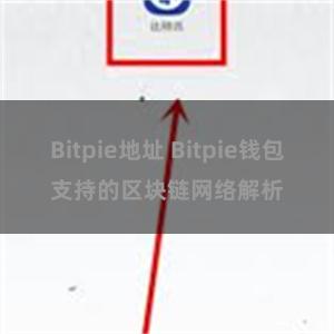 Bitpie地址 Bitpie钱包支持的区块链网络解析