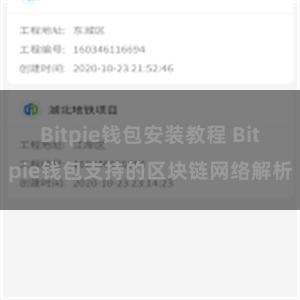 Bitpie钱包安装教程 Bitpie钱包支持的区块链网络解析