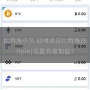 比特派中文 如何通过比特派(Bitpie)设置交易加速？