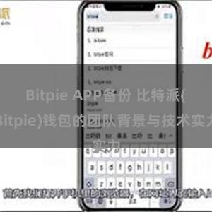 Bitpie APP备份 比特派(Bitpie)钱包的团队背景与技术实力