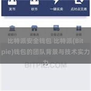 比特派安全钱包 比特派(Bitpie)钱包的团队背景与技术实力