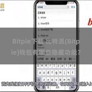 Bitpie下载 比特派(Bitpie)钱包有哪些隐藏功能？