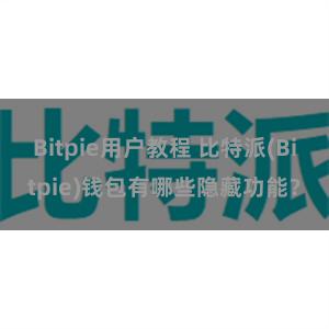 Bitpie用户教程 比特派(Bitpie)钱包有哪些隐藏功能？