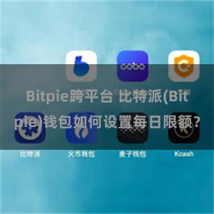 Bitpie跨平台 比特派(Bitpie)钱包如何设置每日限额？