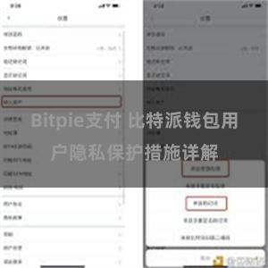 Bitpie支付 比特派钱包用户隐私保护措施详解