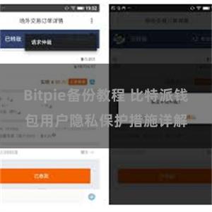 Bitpie备份教程 比特派钱包用户隐私保护措施详解