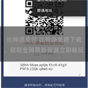 比特派支付 比特派免费下载，获取全网最新资源立即畅玩
