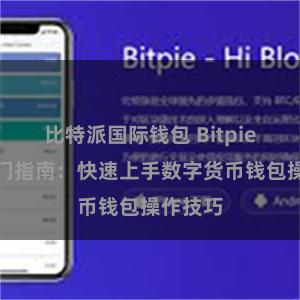 比特派国际钱包 Bitpie新手入门指南：快速上手数字货币钱包操作技巧