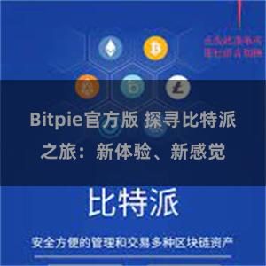 Bitpie官方版 探寻比特派之旅：新体验、新感觉