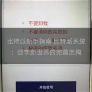 比特派新手指南 比特派系统：数字新世界的完美架构