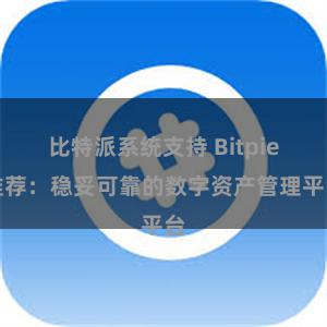 比特派系统支持 Bitpie推荐：稳妥可靠的数字资产管理平台