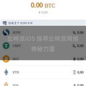 比特派iOS 探寻比特派网络神秘力量