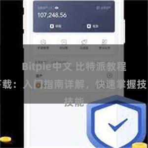 Bitpie中文 比特派教程下载：入门指南详解，快速掌握技能