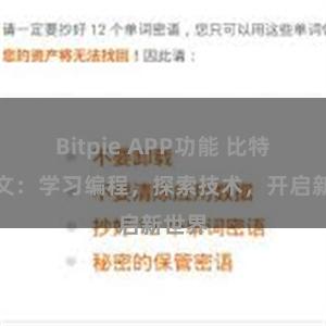 Bitpie APP功能 比特派中文：学习编程，探索技术，开启新世界